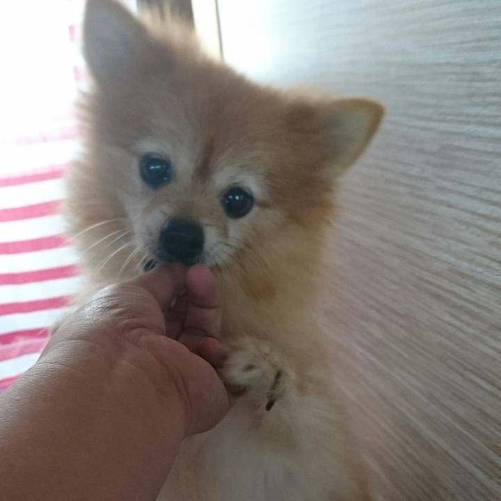 94092e72 5991 4fb7 82ac 4c213391d3ef