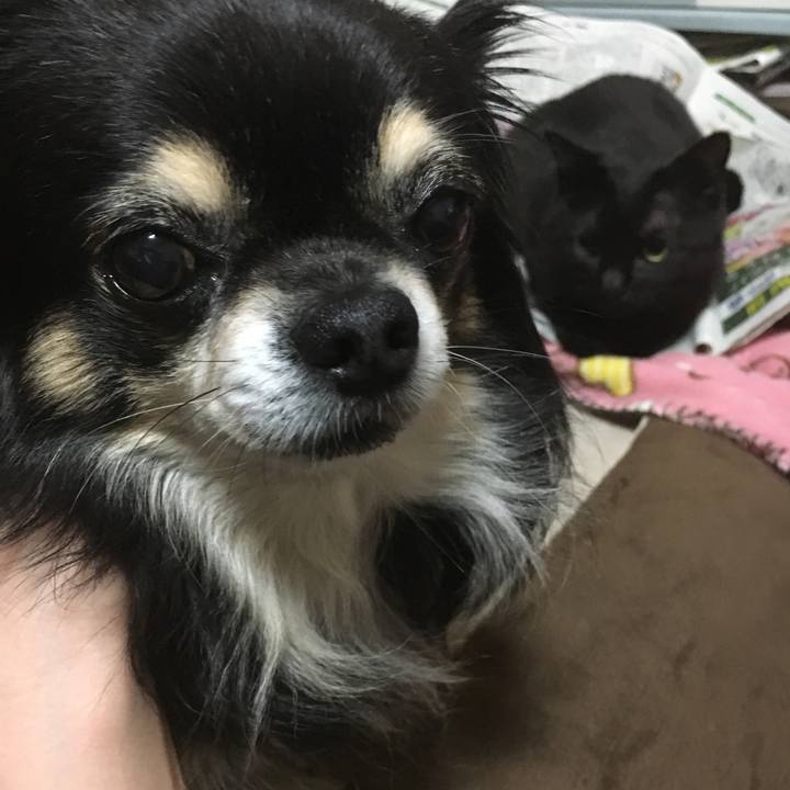 94092f8d d04e 4c36 9a69 6815b790eb9c