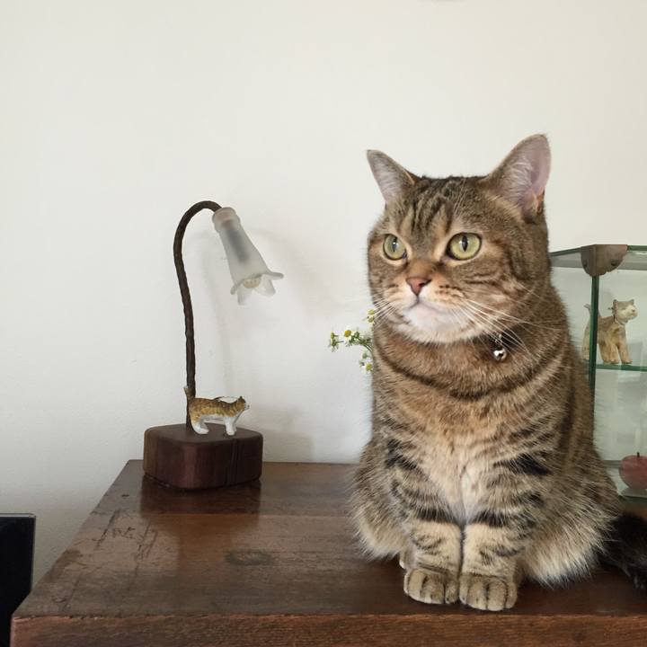 9409b708 31b7 4ee2 8a59 530f1e74101d