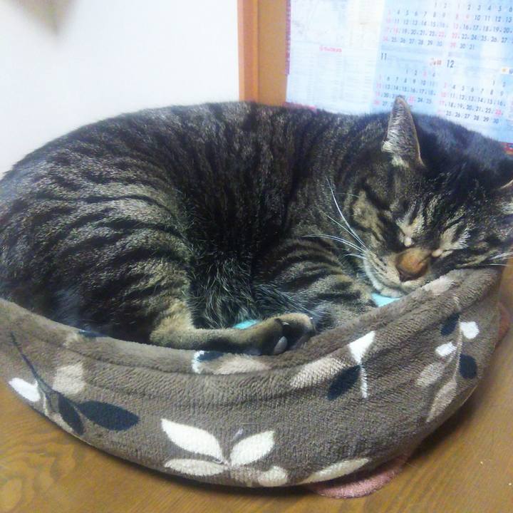 940a0ac6 a494 47bc a3e0 80ce7d83ce78