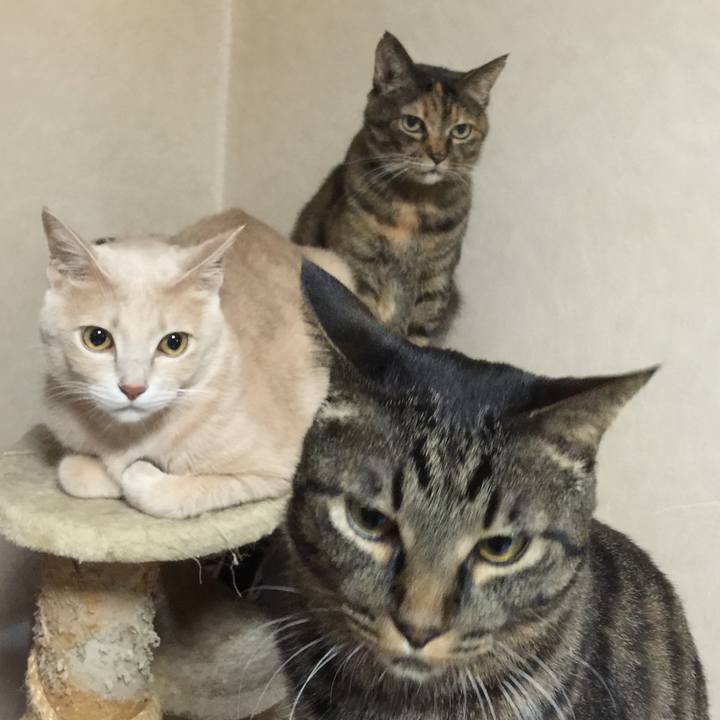 940a0e7d ffa5 4cf7 adf0 0de9027cc91d