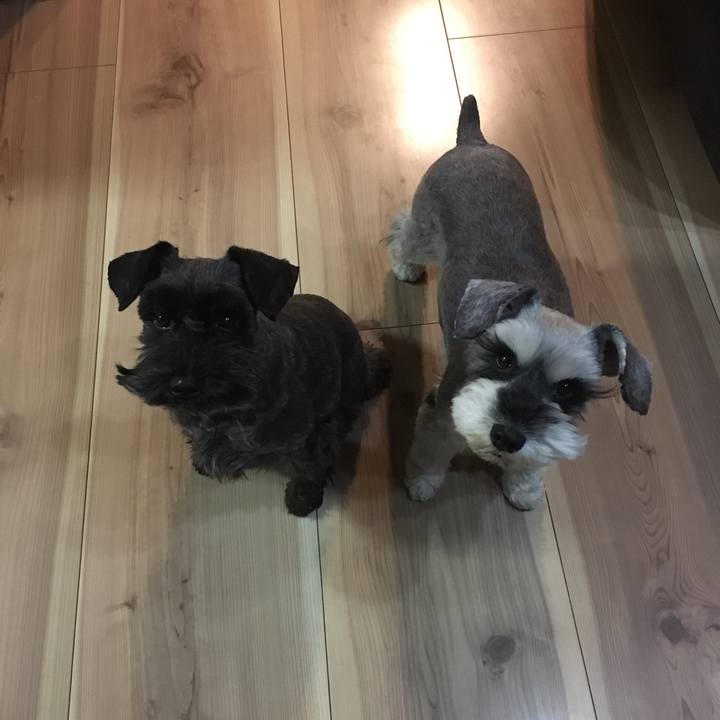 940a5366 5618 4bc9 9155 14d99379c143