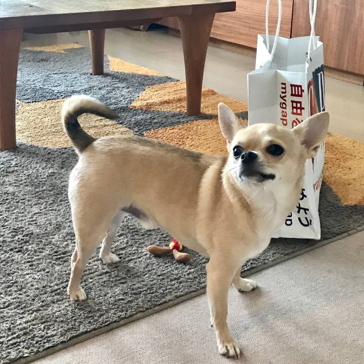 940a7a89 0ca0 430b a519 890d5fa46524