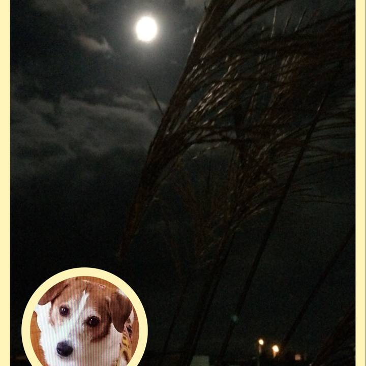 940ab518 4e4d 4cf7 a0d4 719a816c7991