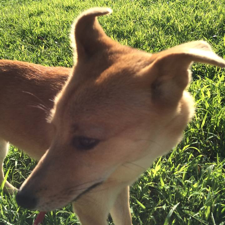 940b968f 5e4c 4f9a b3da 63b9570e5b7c