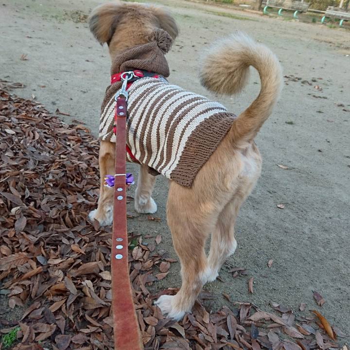 940b9c32 d1a2 4d55 ae24 9e6b43624d52