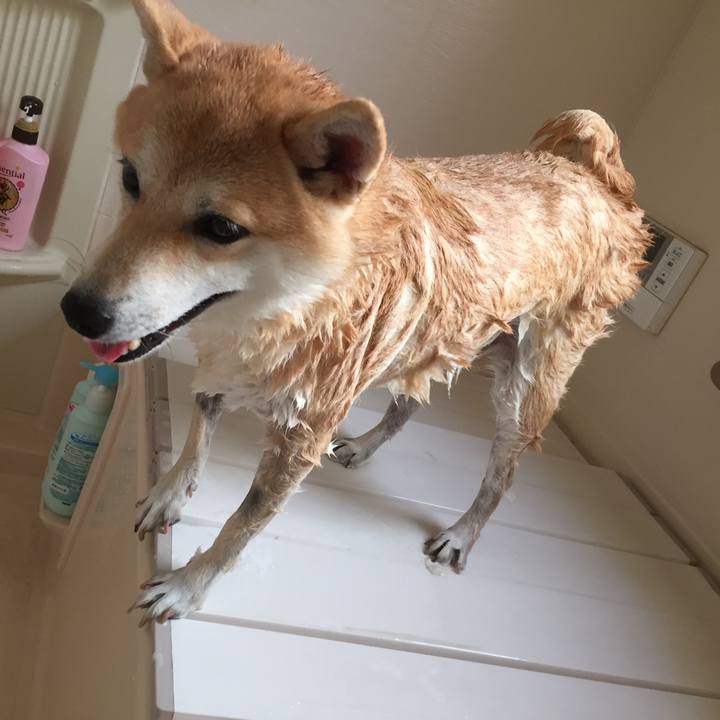 940be23a eb9c 49a0 b8ec 4bec43651ded