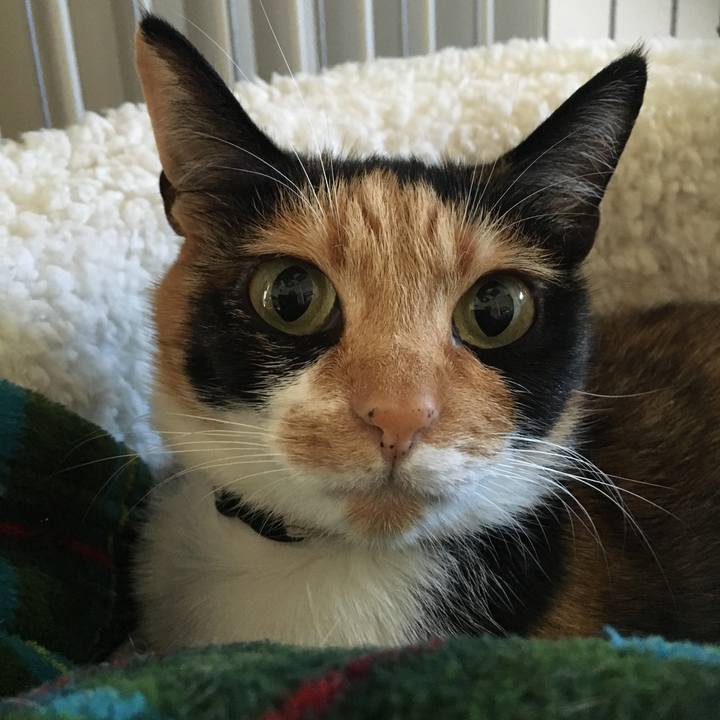 940c7372 f09d 499e ba0d 8f7f46b805d3