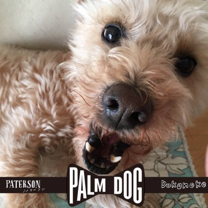 940d4374 423c 4239 aa57 1a74ba4f052e