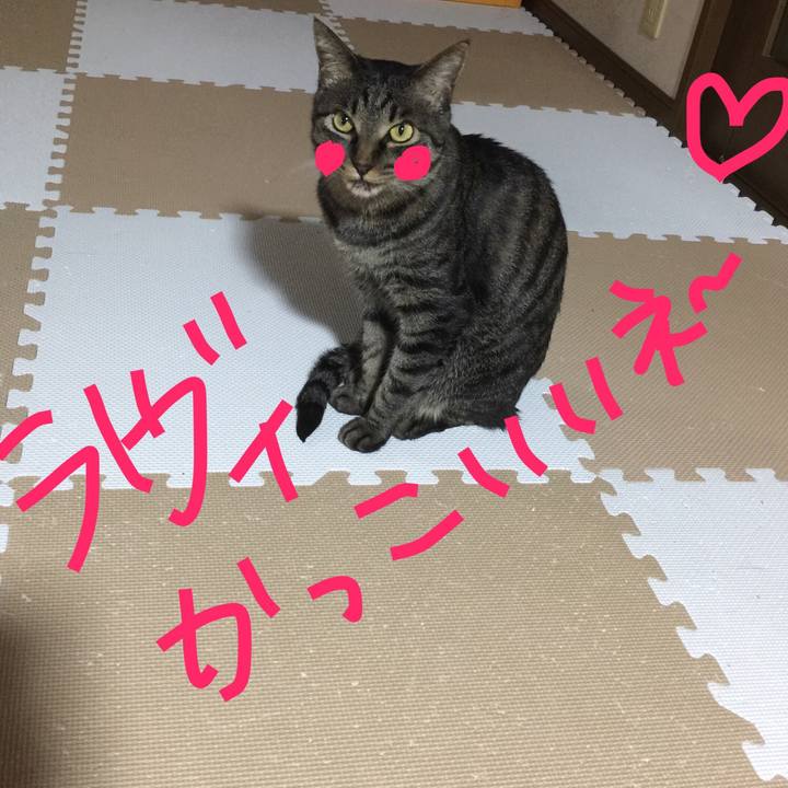 940dc704 694c 4e47 8760 46dfc0d87249