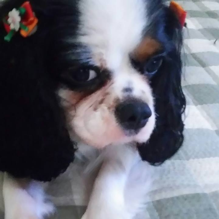 940df20c 6331 473c 92b8 4754cfe1482d