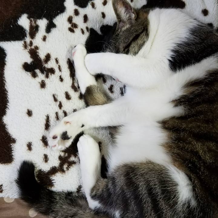 940e6b76 876d 4e36 9ece 81e86de89dcf