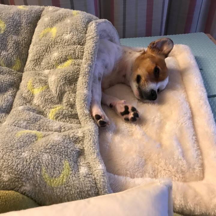 940f836e 77fd 4b09 80c8 626a8250d165