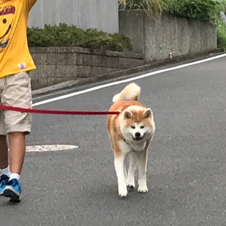 940fac1e 58d3 4fd1 9616 8fab7d28c31c