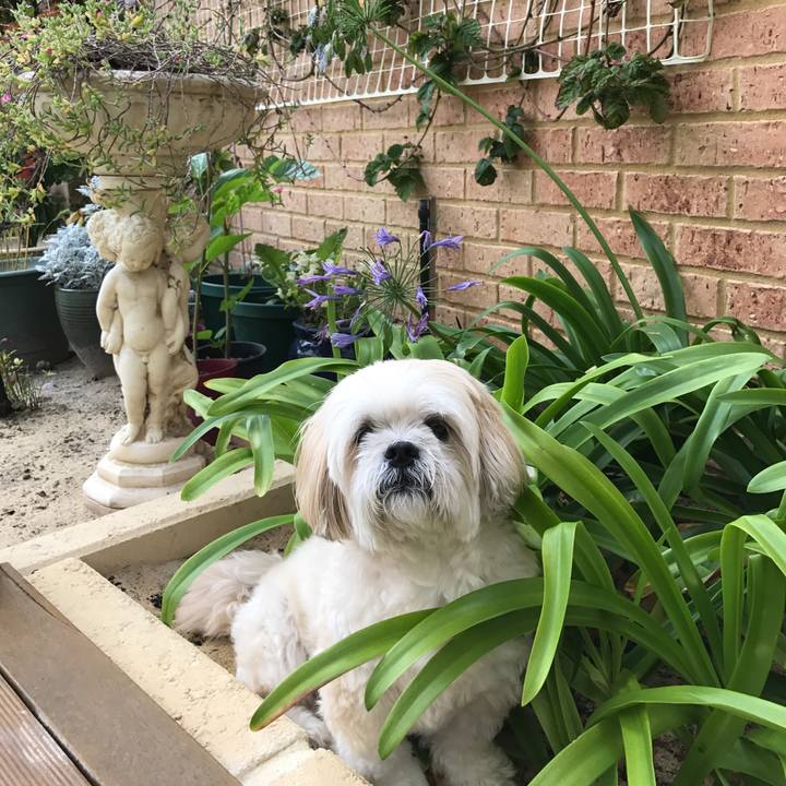 9410765f 913b 4fc2 a292 254ee47abcfb