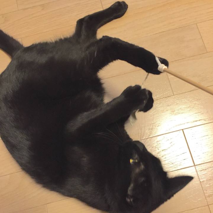 9410cdd4 2b5c 4584 8234 63c188a225a7