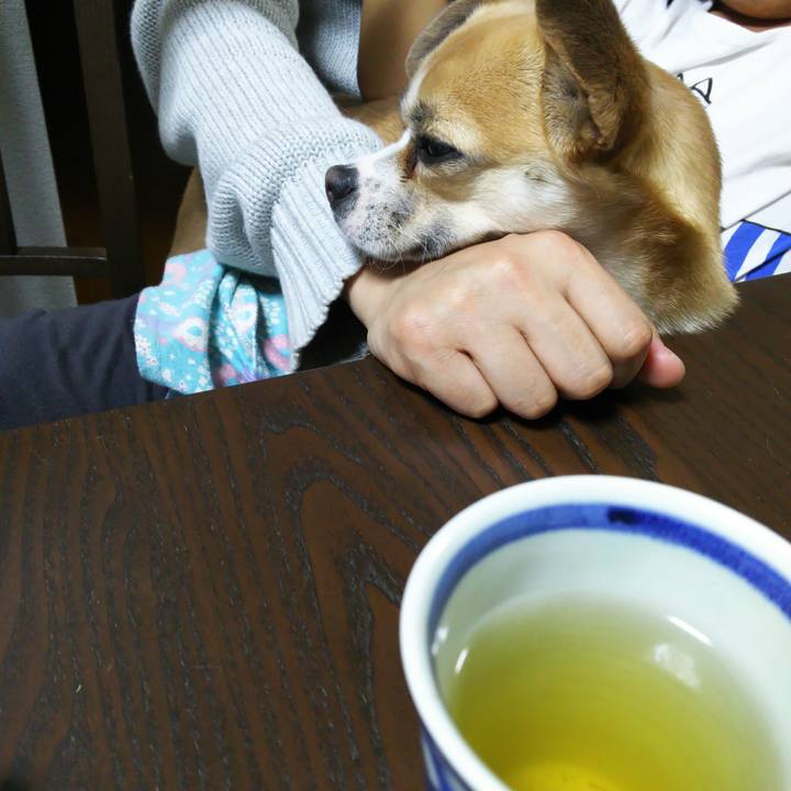 94114173 484d 48af a08d 954aabe15b08