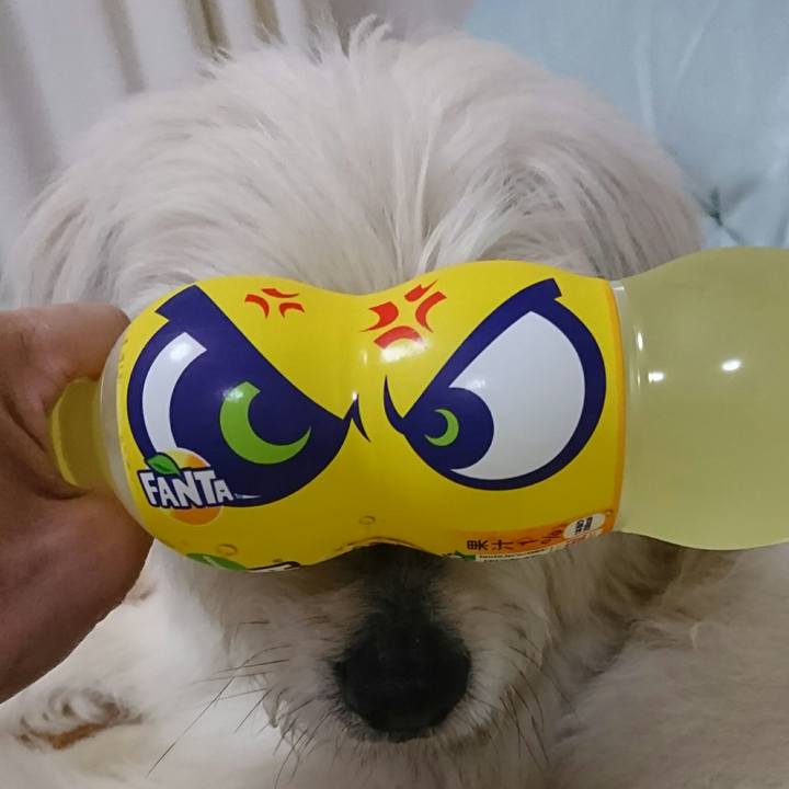 94114d54 42c4 4a4f 8ea0 6caf1ad8a573