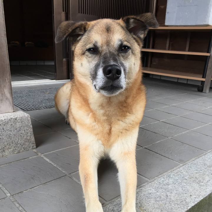 9411a25e e1fc 4e50 9c5c 03bf9b433535