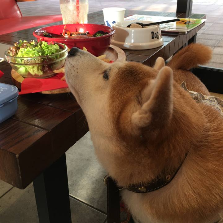 9411afad 8972 4300 b15e 67e099c69281