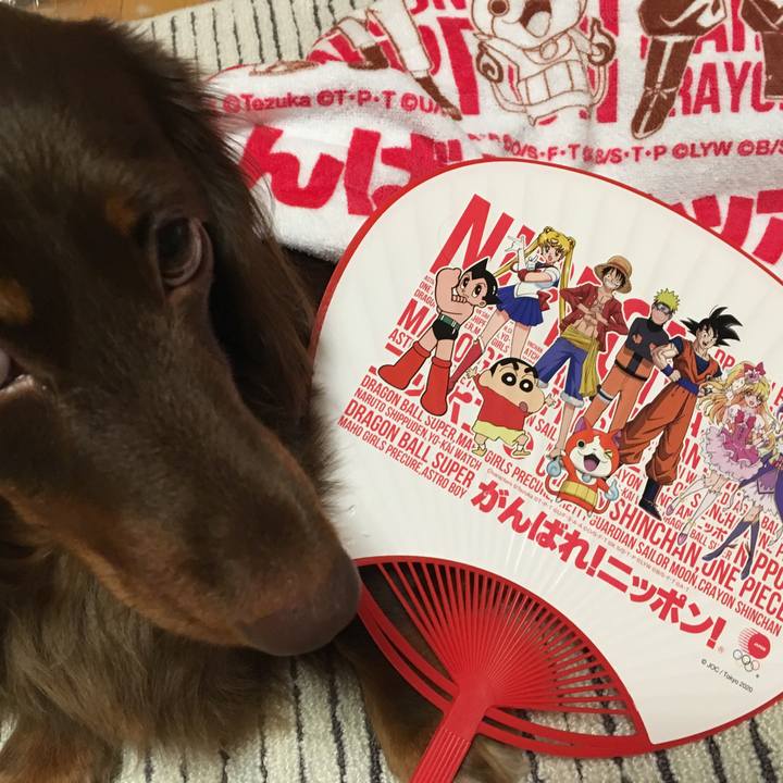 941282c8 71e4 4a37 b104 8b13f532a1f7