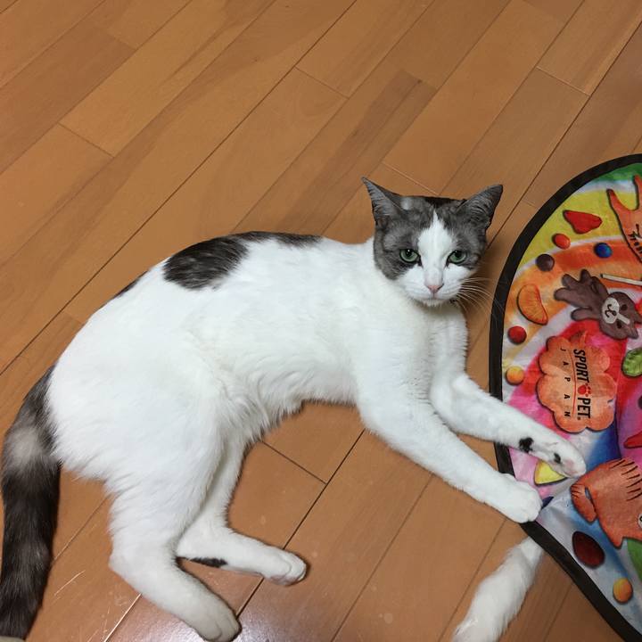 94152900 f1fb 468d af9c 024ba265ad9d