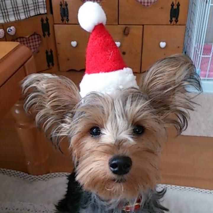 941562e0 845f 41a4 874e 286f159a5207