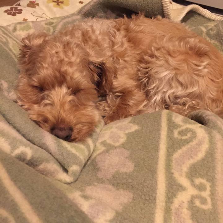 94158754 6b5a 4b6f 8b92 af3f6b65b420