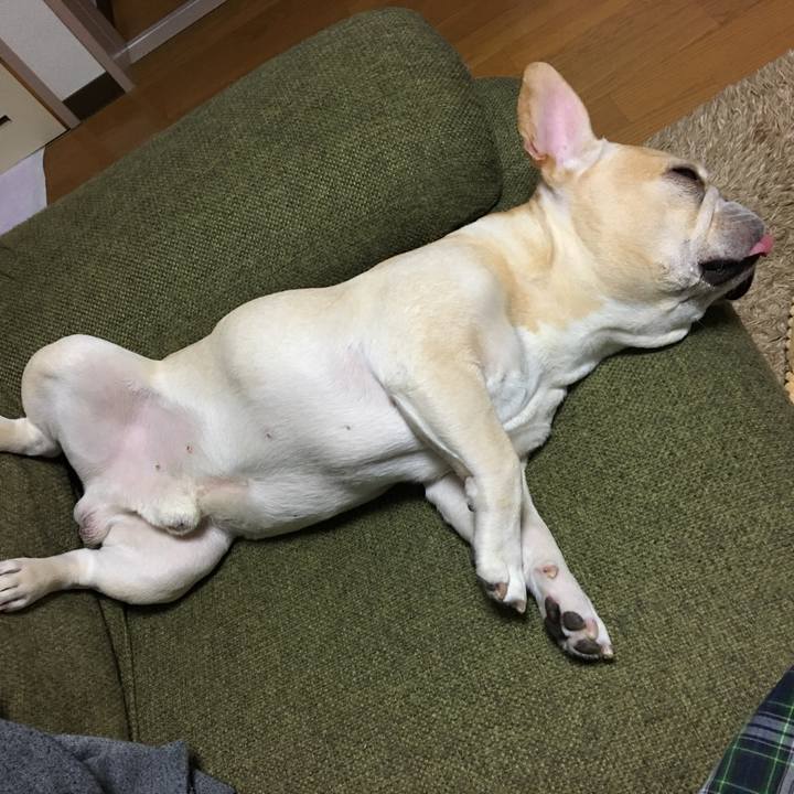 9415bf03 d6f6 4608 927a 3be27c8ce275