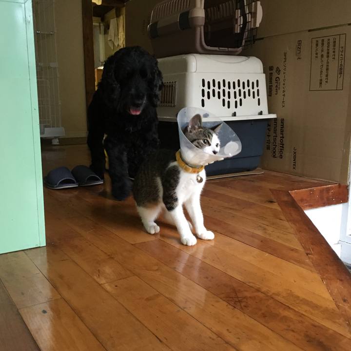 9415d47e 2525 4fa0 a729 15cd4f46a17f