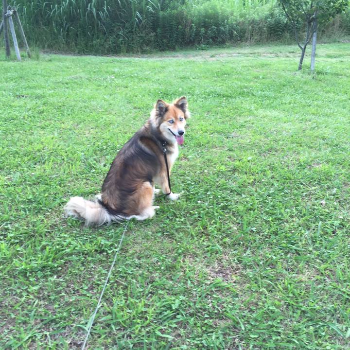 9415dedf 3c5b 4885 bb2c 8f014cca2ee0