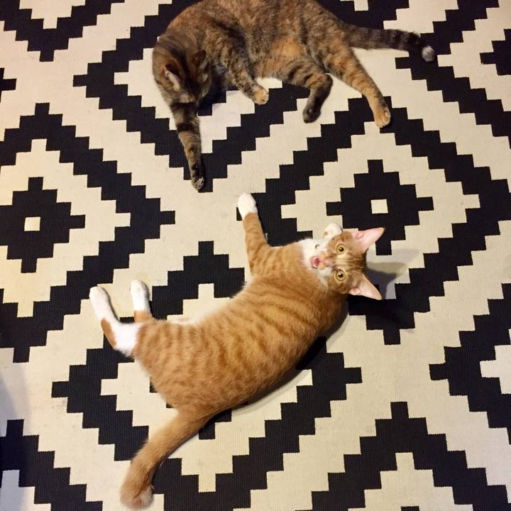 94169966 d616 42fc 8ca6 46397c6f6fd0