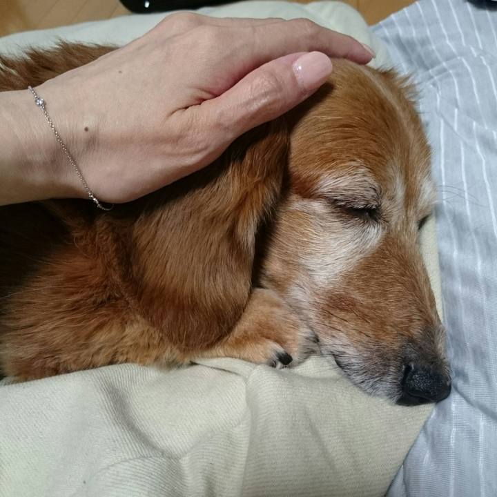 9418769b ad52 483c 8fa2 cb55a001cd4f