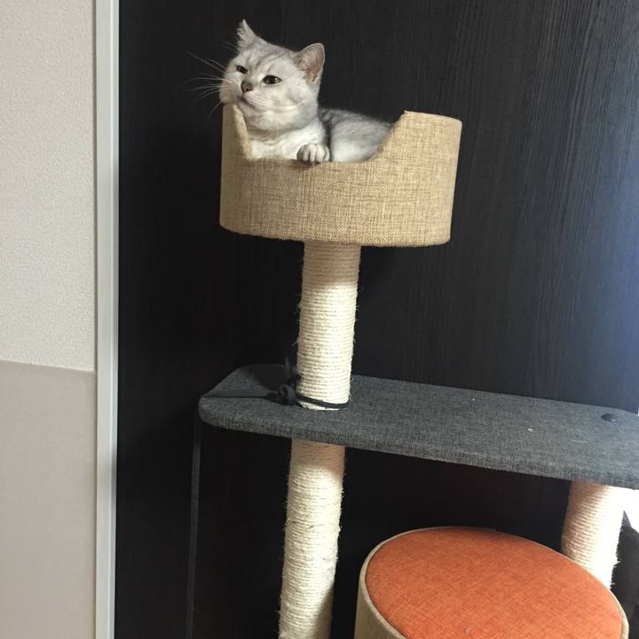 94191bce 4a5b 4d09 a52a 922a50c14f77