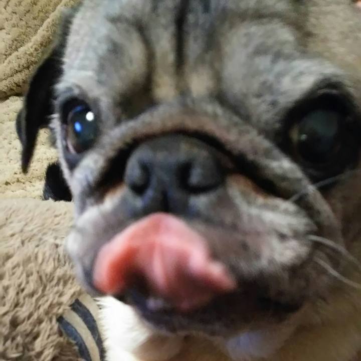 9419b8d5 c2ba 4de9 8381 863459eece9a