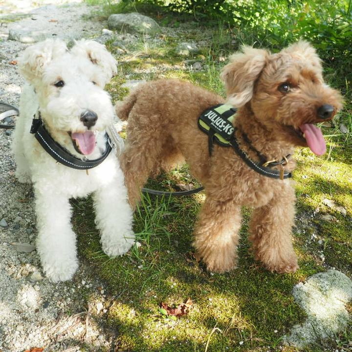 941a829b 2e9e 4c40 9d06 5a9c9c2628c7