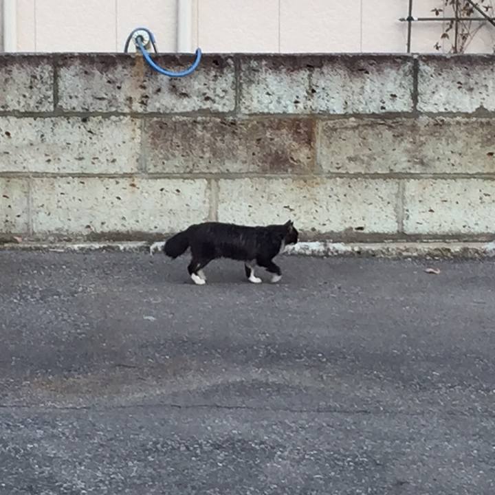 941acbf7 0c53 4873 90fd 55cd6caba0ea