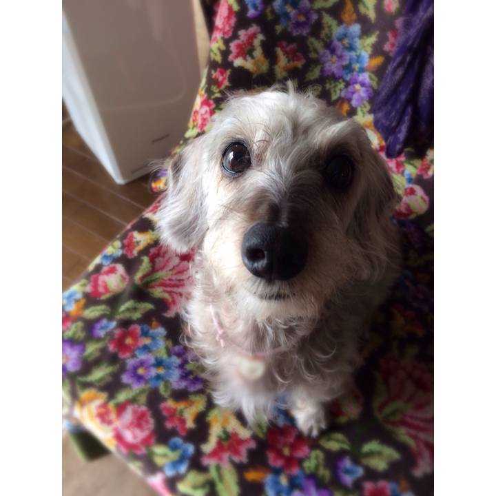 941ae7d8 3934 4720 b5bb 53c43aeec39c