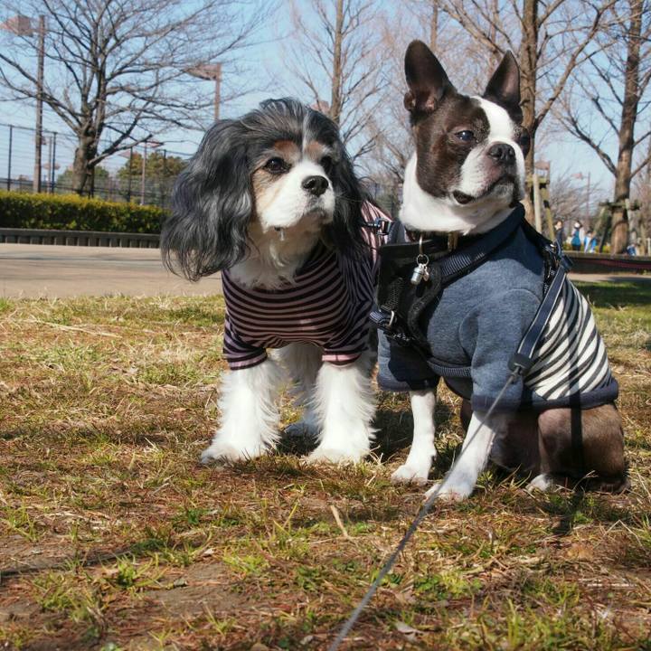 941af965 9825 49d3 a58a 3a8fd6c3768c