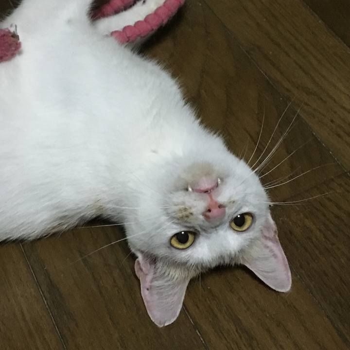 941b6f00 34c8 4bdb b040 abd45dd10887