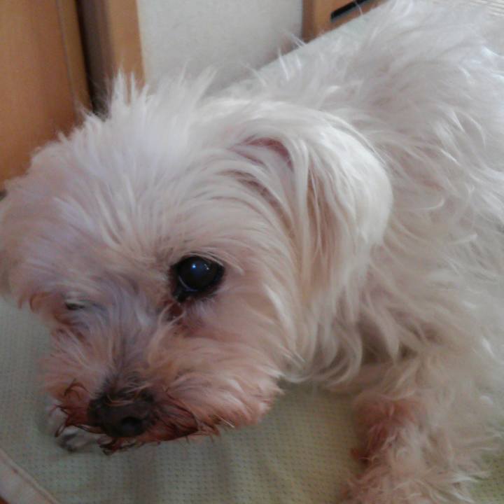 941bddf5 be52 4bc4 8e19 bdc3c726a5b6