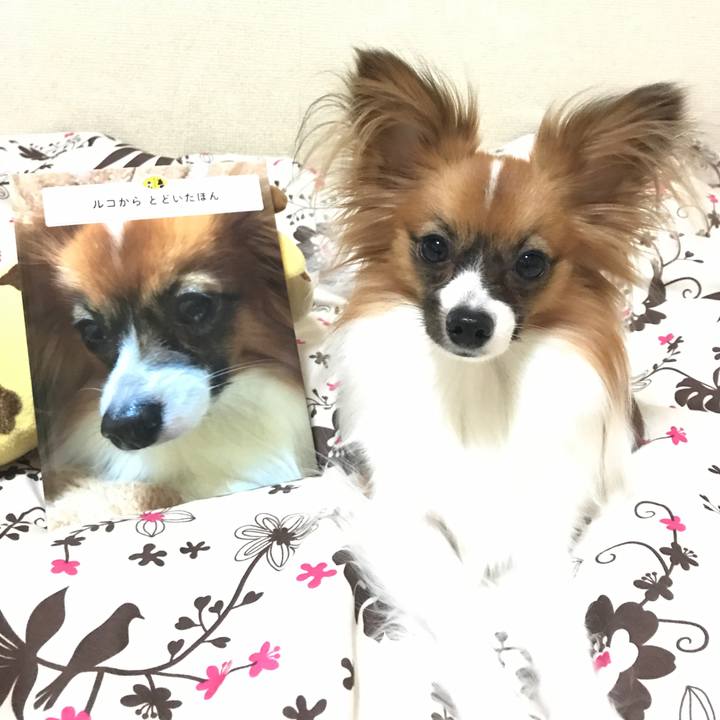 941dce78 8959 404d a327 a1371993c173