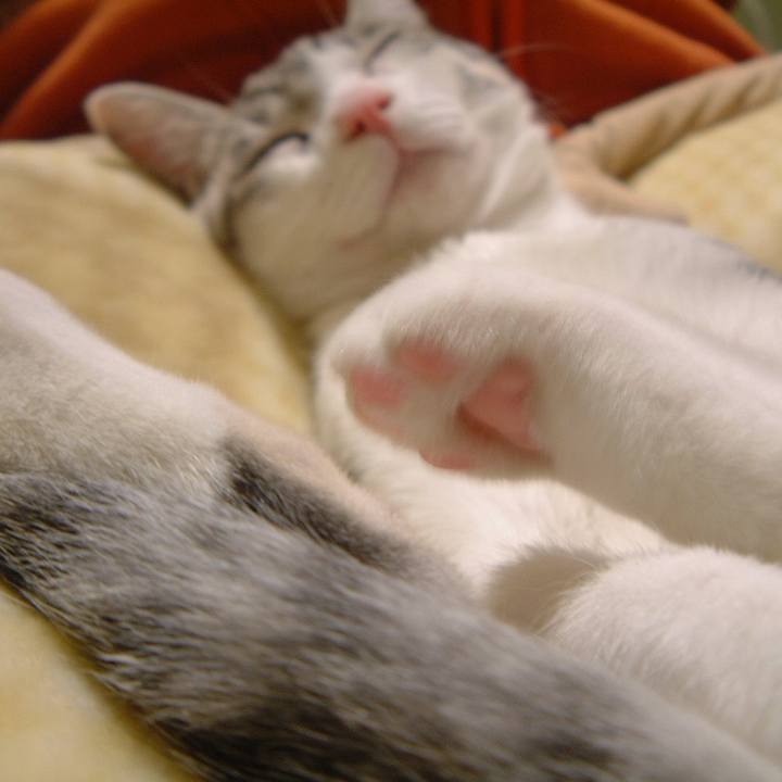 941dfccd 2bfd 4e79 a1cf 1deec7ff65f1