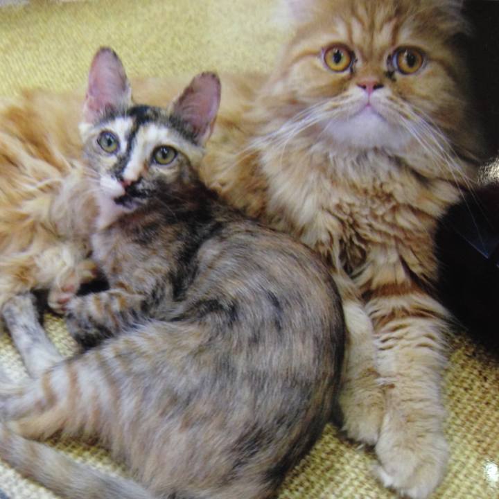 941e0a25 c60a 4da3 88b0 5b55fd086c75