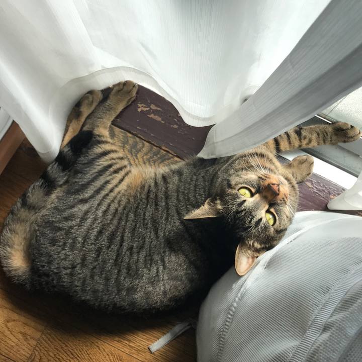 941e6bfc bdd5 4efe bca5 787fbde542fc