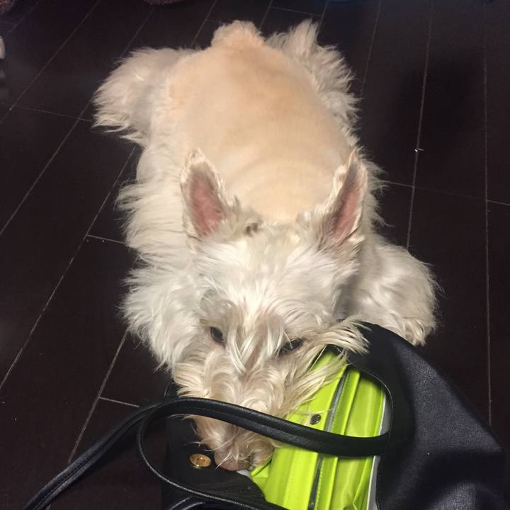 941e99a3 262f 44a7 98a7 407ce9ae46d0