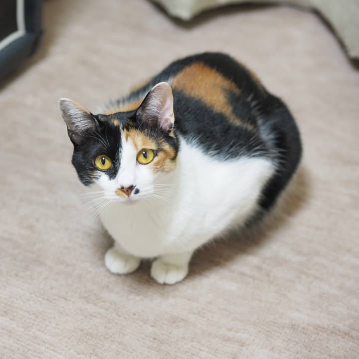 941eaeb7 44a1 4690 aec0 d951c9d0fb94