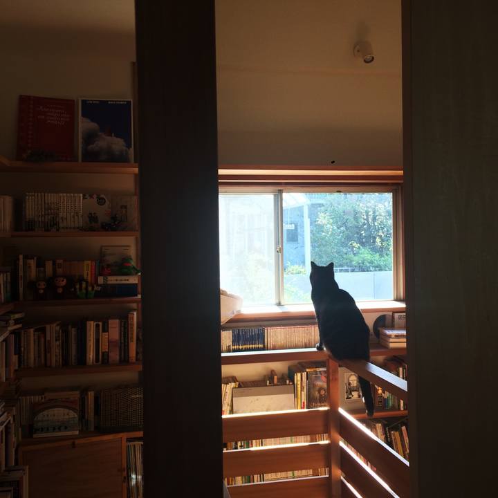 941f1ffe bfe1 42bf 87b0 e13a6e724959