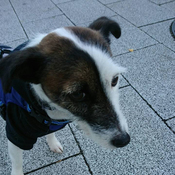 941f35df ffc7 4847 b20b 5306f862823a