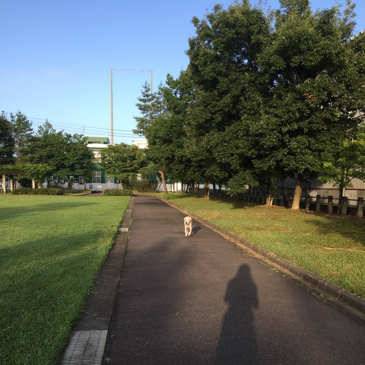 941f4465 5e48 4f61 8c20 ccaa316020c9